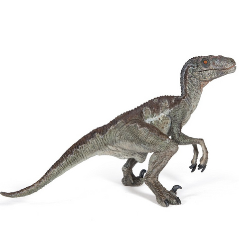 Velociraptor Papo 55023