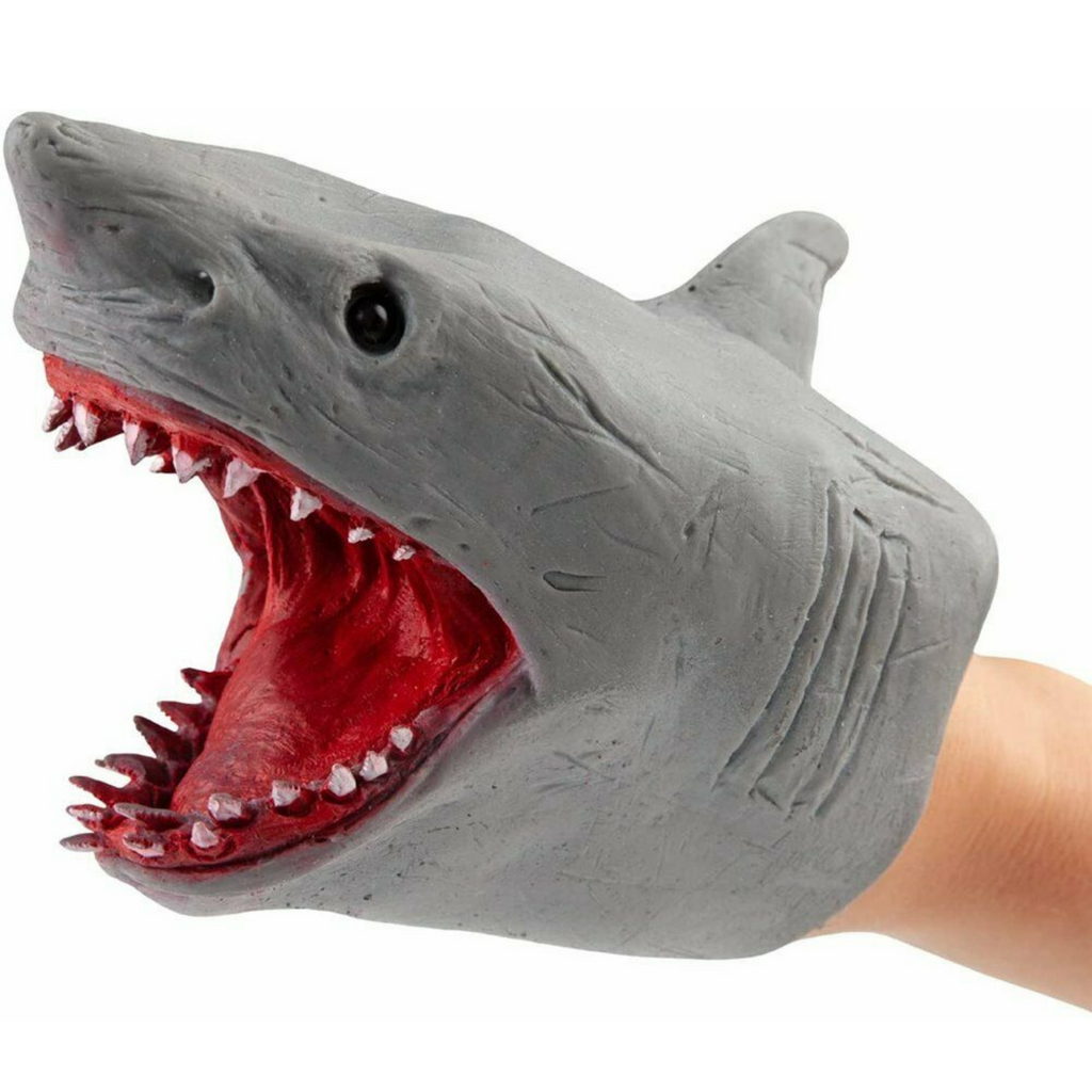 Shark in Hand